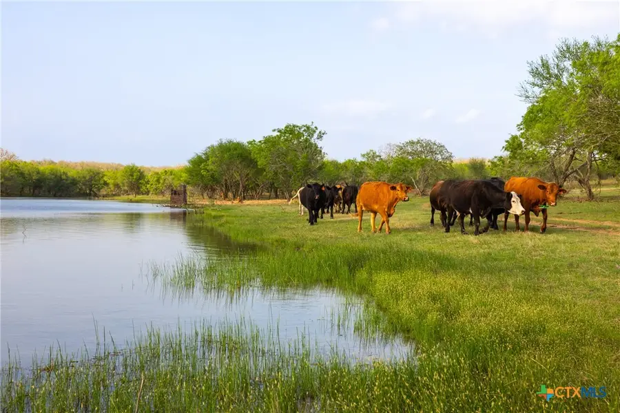 TBD 120 Acres Old Seguin Luling Road, Seguin, TX 78155 - #3