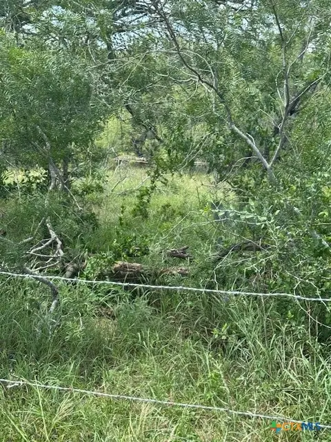 TBD Dowdy Road, Kingsbury, TX 78638 - Image #1