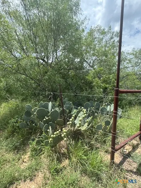 TBD Dowdy Road, Kingsbury, TX 78638 - Image #2