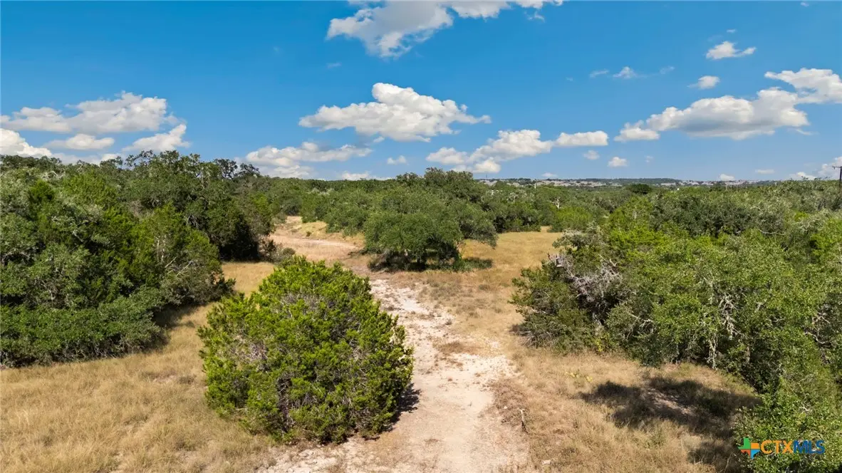 1732 Herbelin Road, New Braunfels, TX 78132 - Image #1