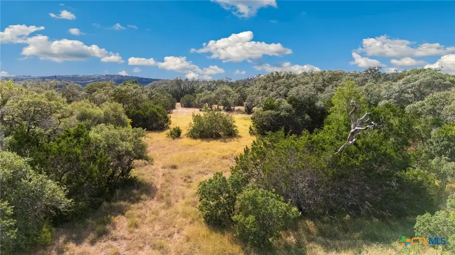 1732 Herbelin Road, New Braunfels, TX 78132 - Image #2