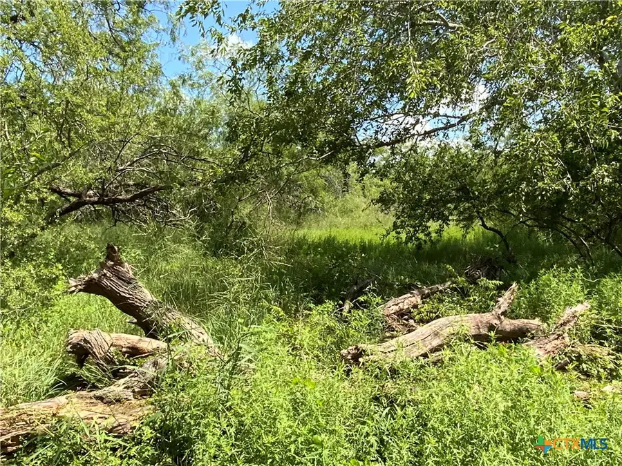 4 County Road 1144 #4, Sinton, TX 78387 - Image #2