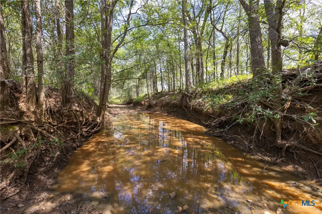 000 E County Road 258, Gonzales, TX 78629 - Image #1