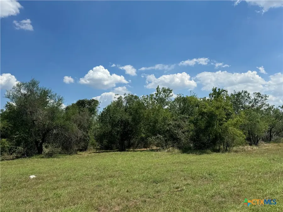 5986 Fm 1107 #B, Stockdale, TX 78160 - Image #3