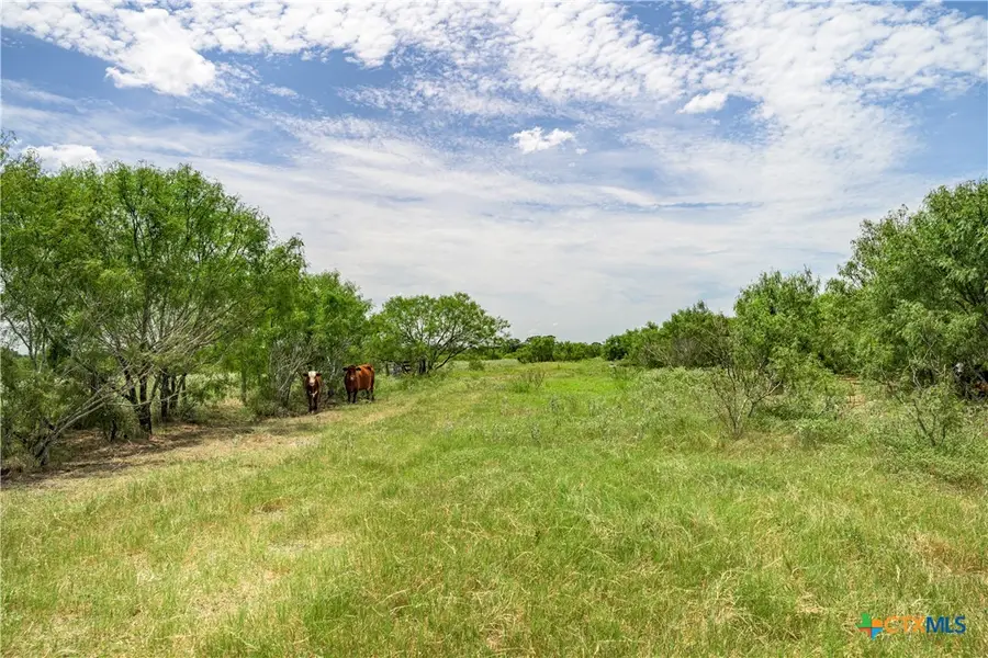 6144 Fm-2237, Flatonia, TX 78941 - #3
