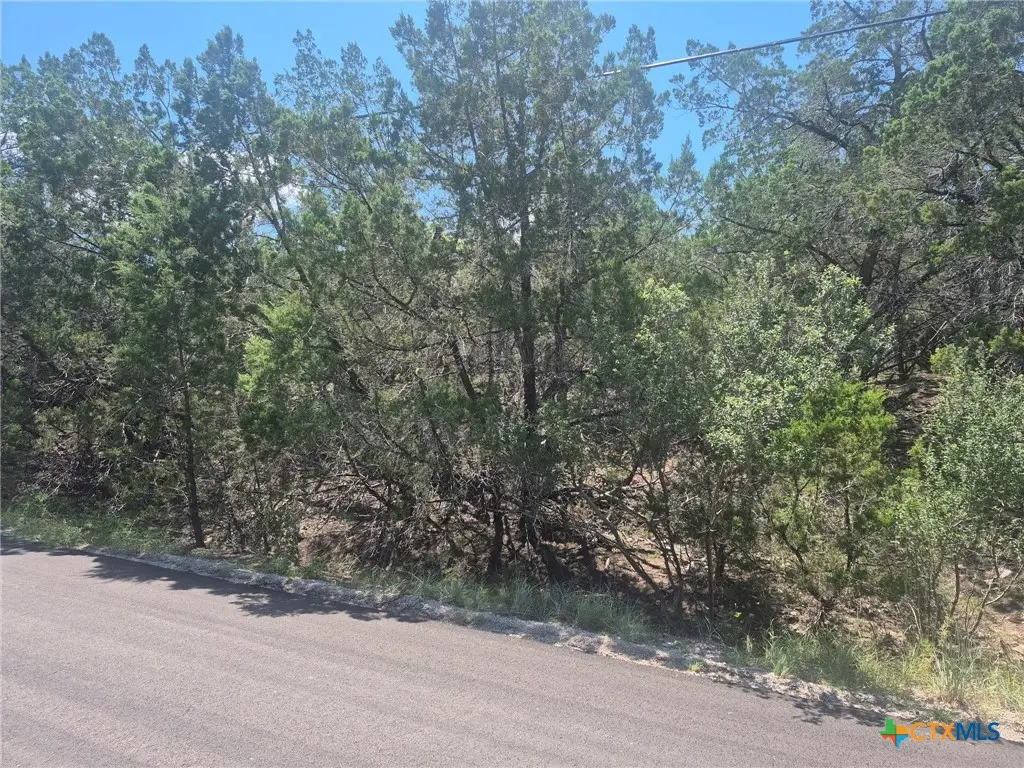 3602 Stillwood Lane, Lago Vista, TX 78645 - Image #1