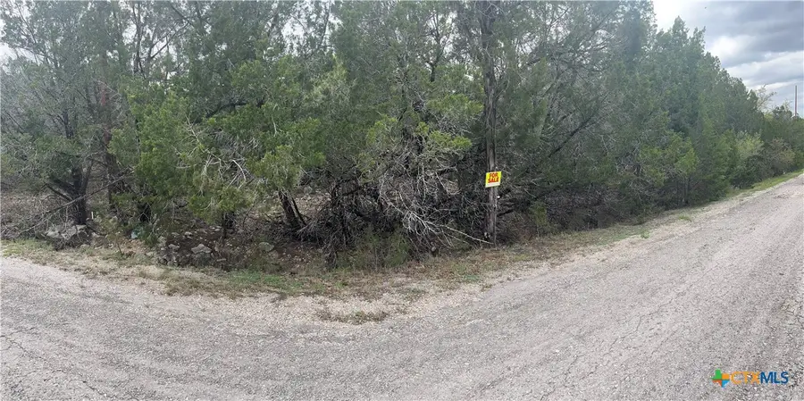 3602 Stillwood Lane, Lago Vista, TX 78645 - Image #2