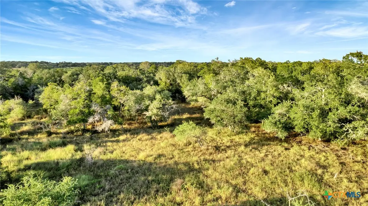 TBD Private Road 4620, Francitas, TX 77961 - Image #1
