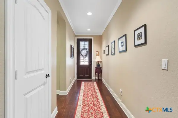 706 Cavallo Springs Cove, San Marcos, TX 78666 - Image #3