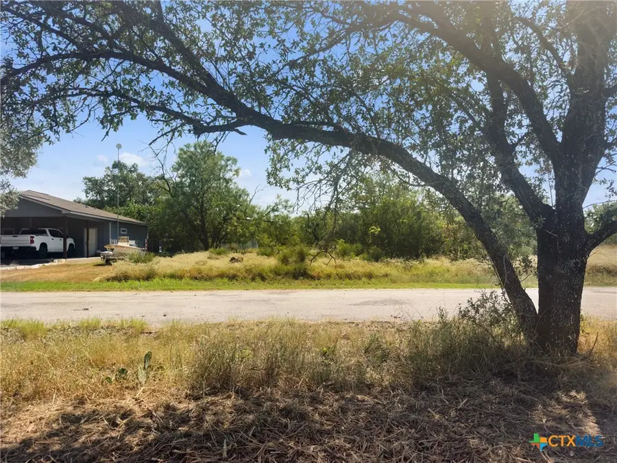 3515 Cactus Trail, Kingsland, TX 78639 - Image #2