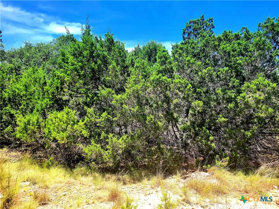 1680 Stallion Springs Drive, Fischer, TX 78623 - Image #3