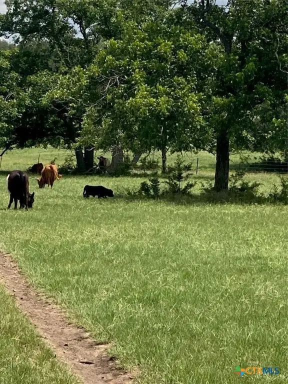 2029 County Road 200, Burnet, TX 78611