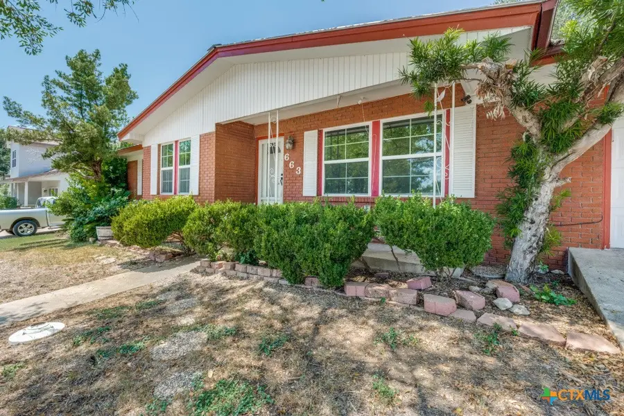 663 Lockener Avenue, New Braunfels, TX 78130 - Image #3