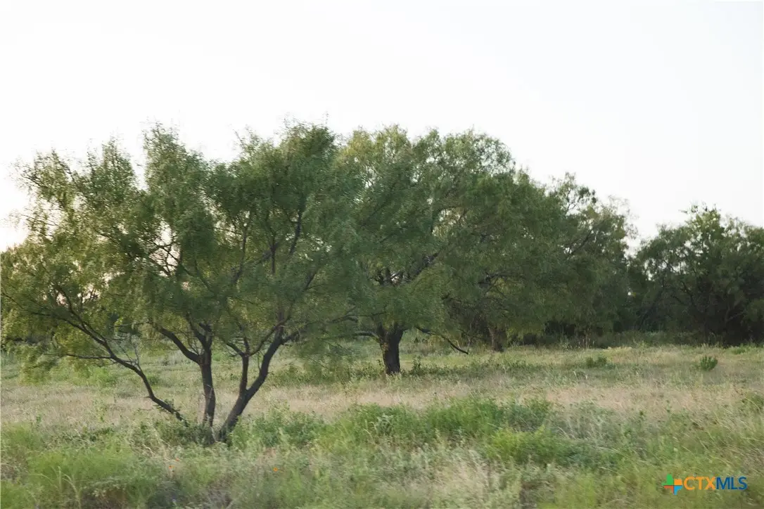 Lot 7 Harmon Road, Copperas Cove, TX 76522 - #1