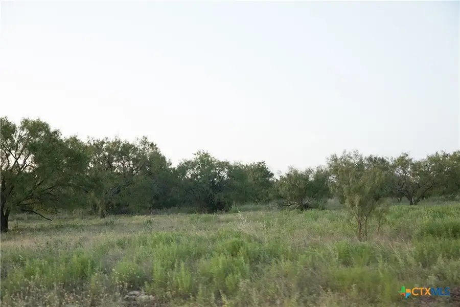 Lot 7 Harmon Road, Copperas Cove, TX 76522 - #2