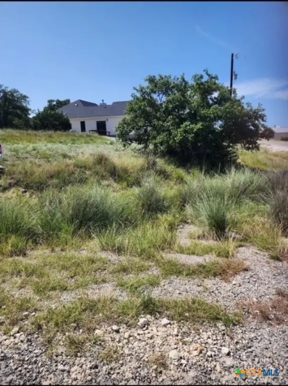 0 South Junius, Blanco, TX 78606 - Image #1