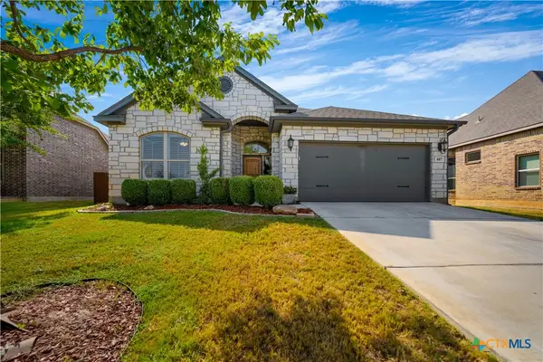 487 Mission Hill Run, New Braunfels, TX 78132