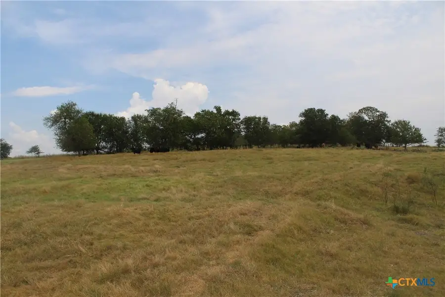 TBA County Road 417, Taylor, TX 76574 - Image #3