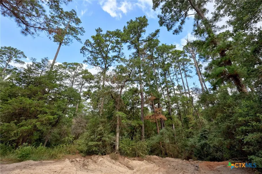 128 Barras Road, Paige, TX 78659 - Image #3