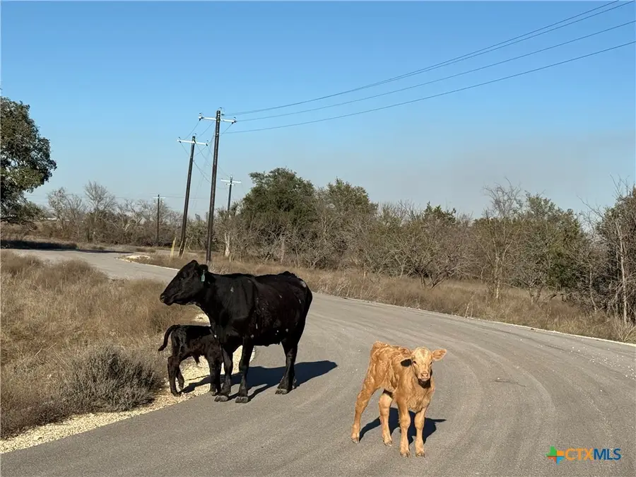 TBD King Ranch Trail, Copperas Cove, TX 76522 - Image #2