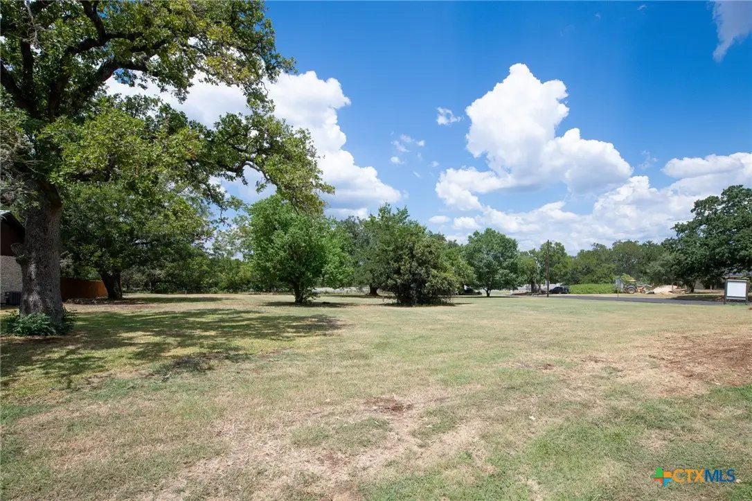 200 Canyon Wren Drive, Buda, TX 78610 - #1