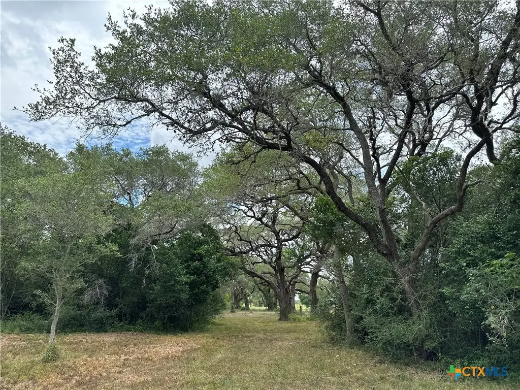 301 Fort St, Goliad, TX 77963 - Image #1