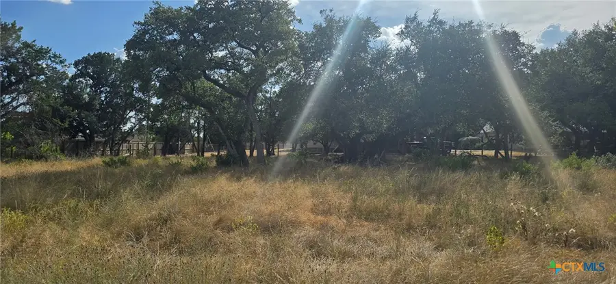 433 Lighthouse, Canyon Lake, TX 78133 - Image #2