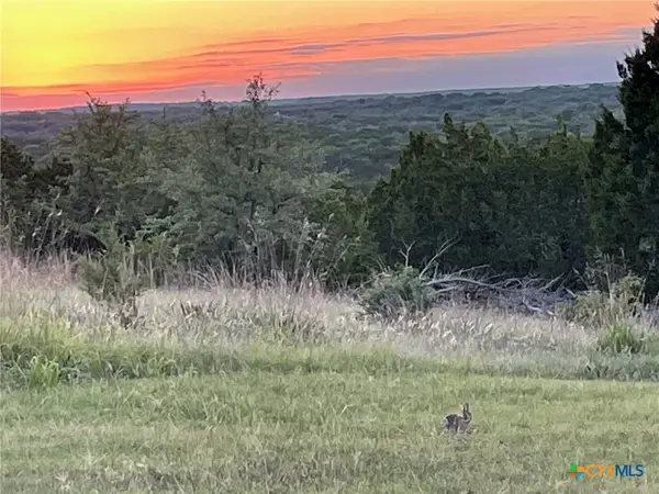 471 King Ranch Road, Gatesville, TX 76528