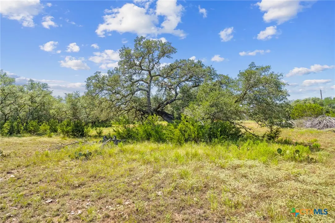 Lot 170 Heartleaf Drive, Lampasas, TX 76550 - Image #1