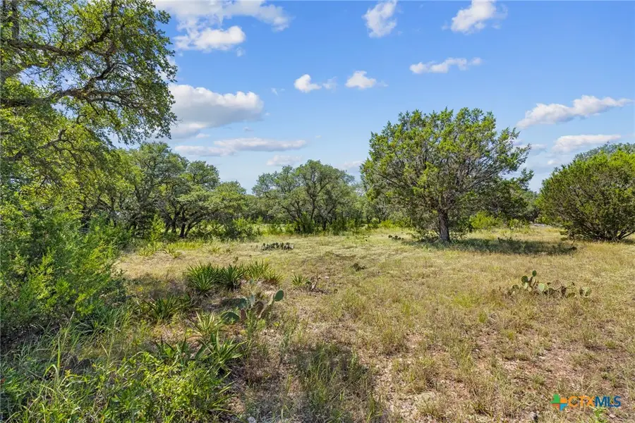 Lot 170 Heartleaf Drive, Lampasas, TX 76550 - Image #2
