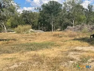 556 Krueger Canyon, New Braunfels, TX 78132 - #2