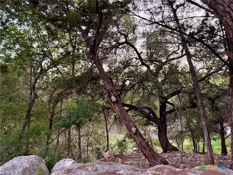 1059 Summit Bluff, Canyon Lake, TX 78133 - #2