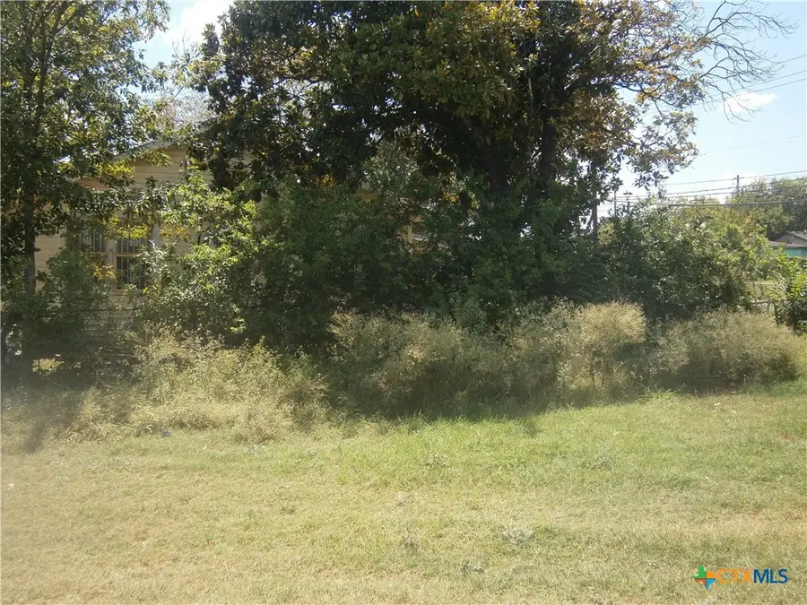 7411 Carver Avenue, Austin, TX 78752 - Image #3