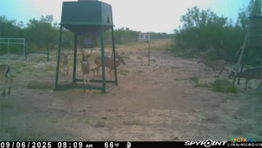 0 Tr 123 Triple T-bar-l Rch, Freer, TX 78341 - Image #2