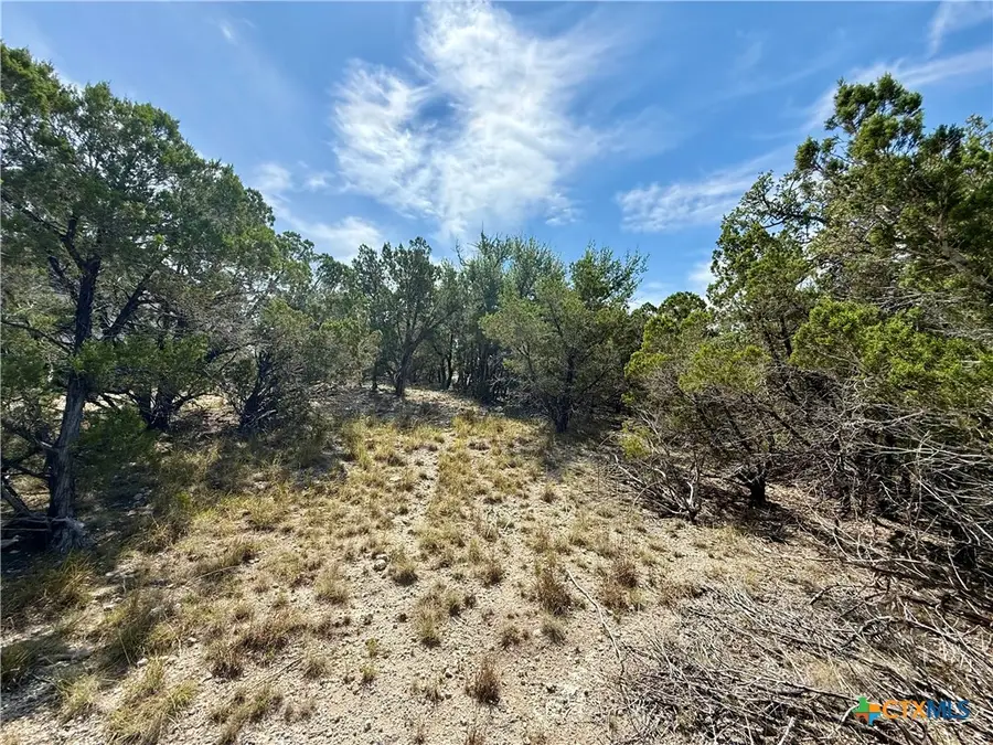 640 Crossman, Fischer, TX 78623 - Image #2