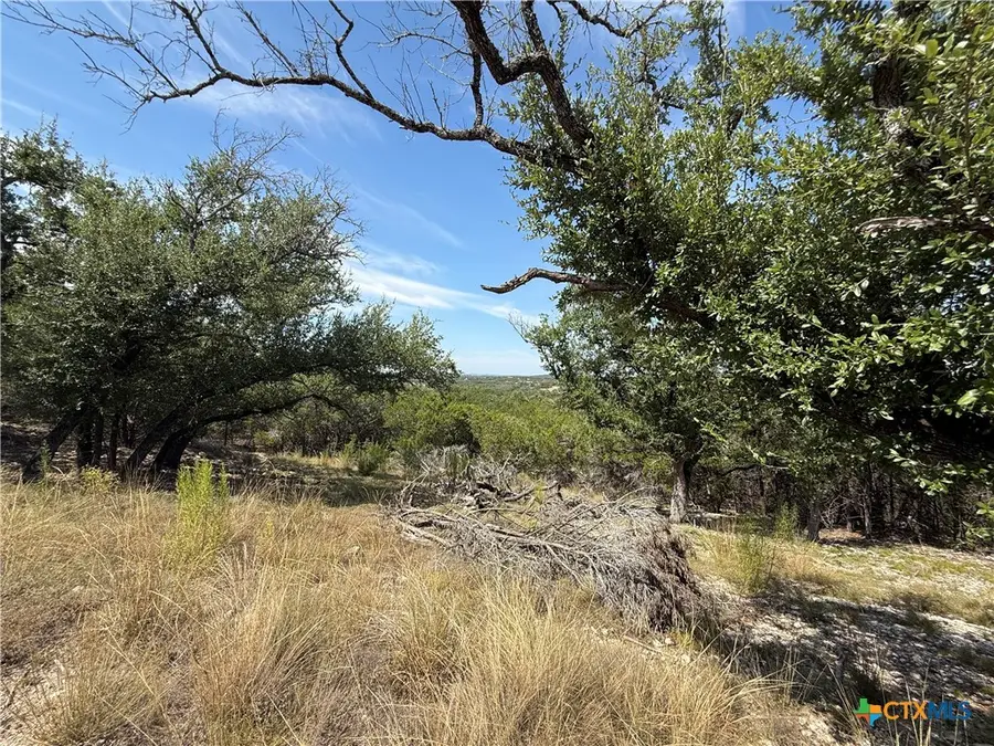 640 Crossman, Fischer, TX 78623 - Image #3