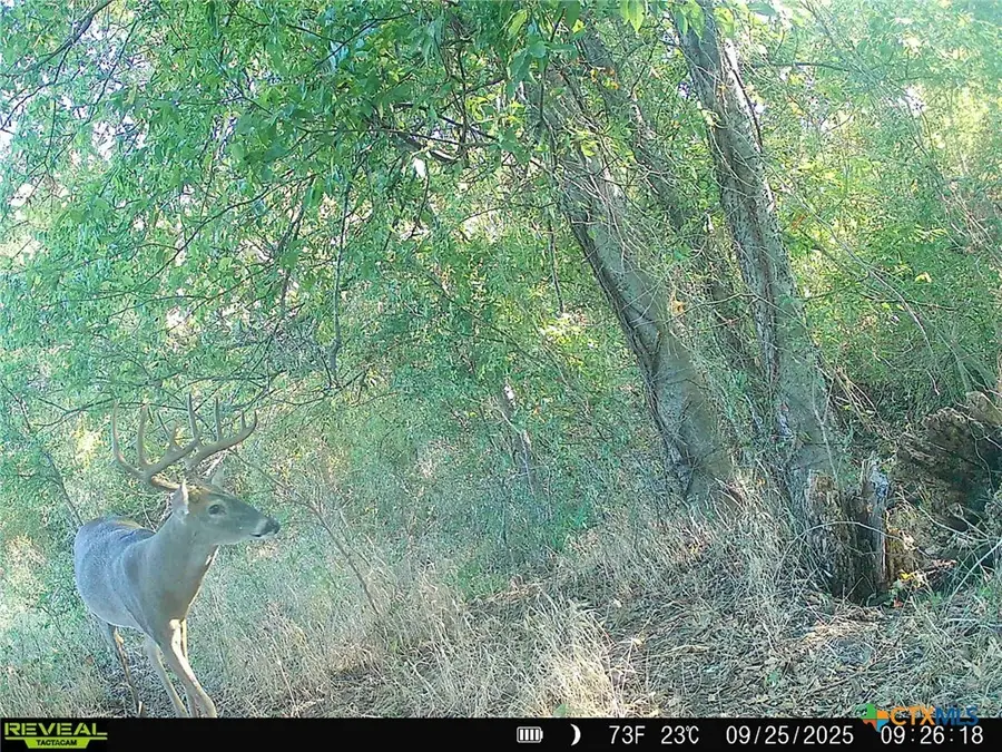 0000 East Gillis Street, Cameron, TX 76520 - Image #3