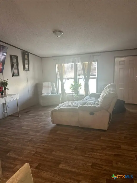 849 E Rustler Pass, Kyle, TX 78640 - #3