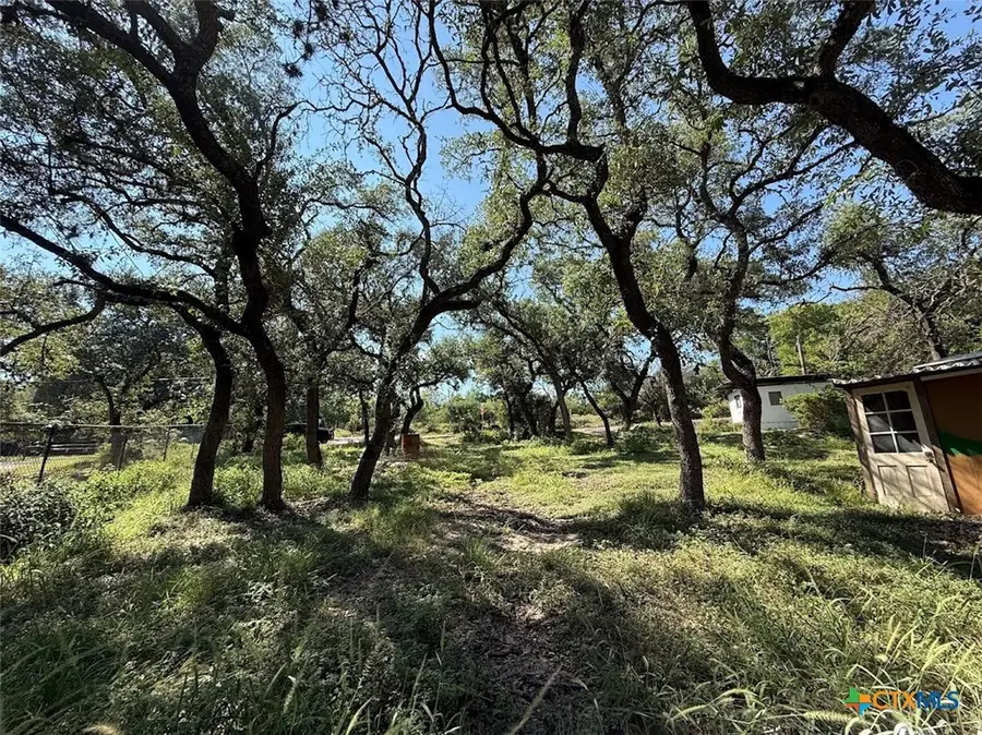 107 Deer Oak, Canyon Lake, TX 78133 - #3