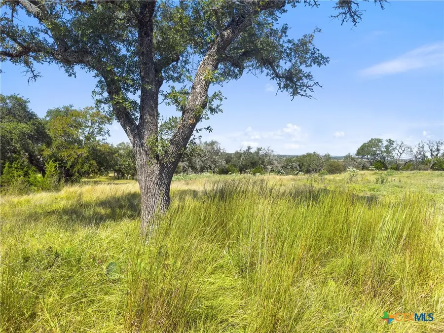 190 Axis Circle, Fredericksburg, TX 78624 - Image #3