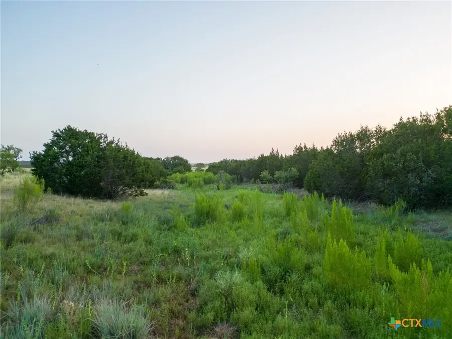 TBD Shin Oak Drive, Lampasas, TX 76550 - Image #3