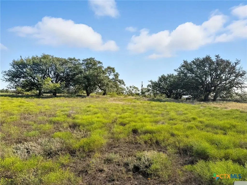 TBD Farm Road 221, Pottsville, TX 76565 - Image #1