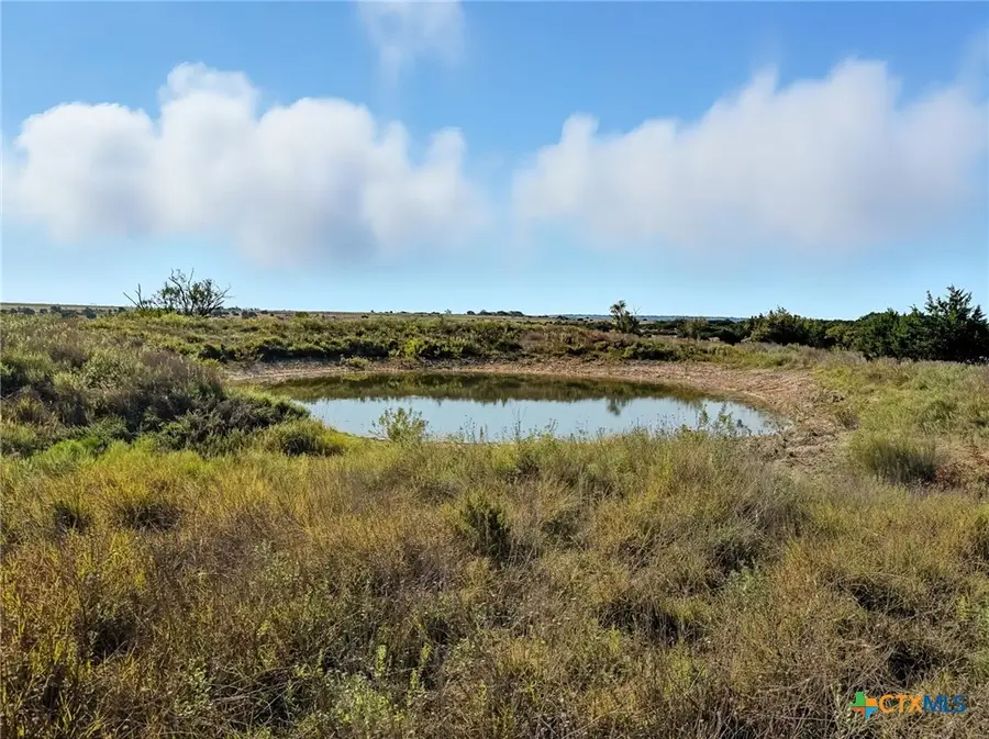 TBD Farm Road 221, Pottsville, TX 76565 - Image #3