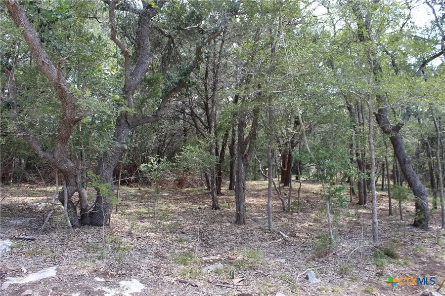 151 Eden Ranch Drive, Canyon Lake, TX 78133 - #3