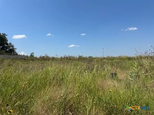 112 Enclave Manor Drive, Troy, TX 76579 - Image #1