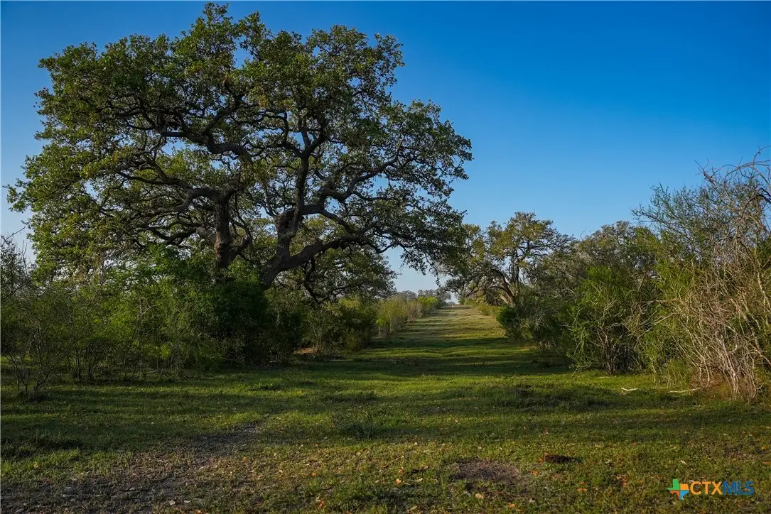 8440 State Highway 239, Goliad, TX 77963 - Image #1