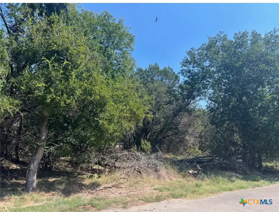 Lot 0010 Teakwood Loop, Morgans Point Resort, TX 76513 - Image #2