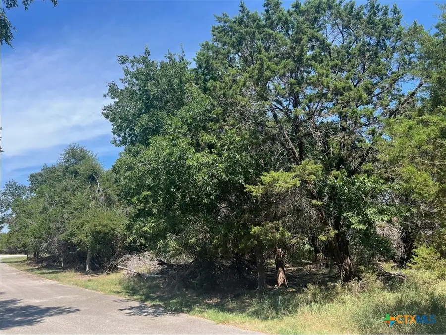 Lot 0010 Teakwood Loop, Morgans Point Resort, TX 76513 - Image #3