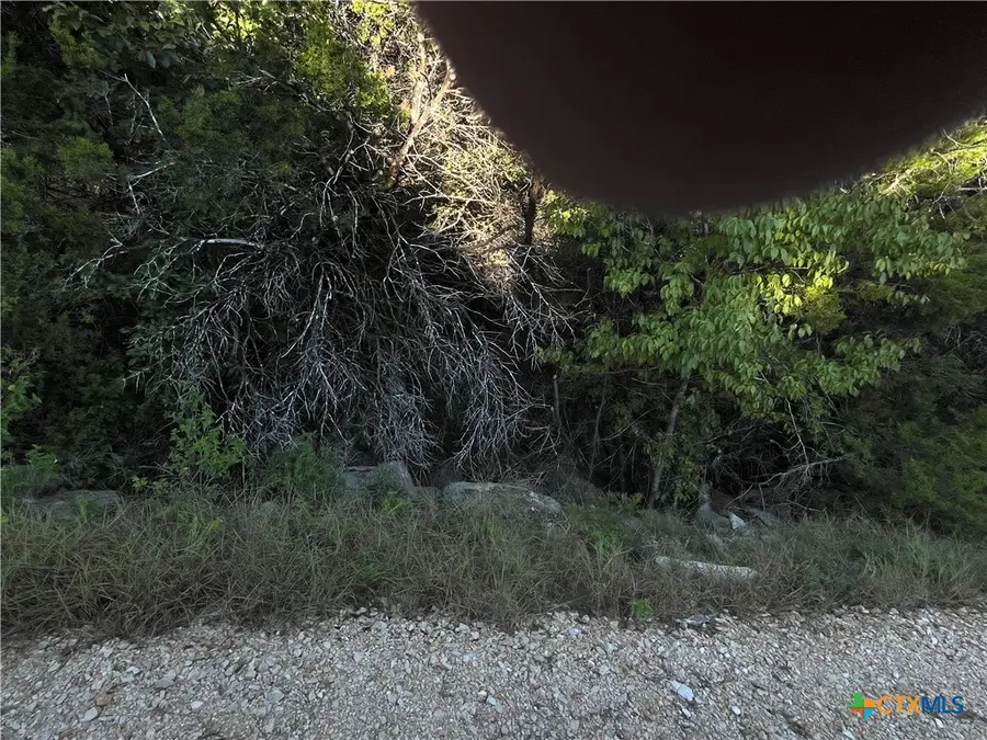 1351 Moerike Road, Canyon Lake, TX 78133 - #3