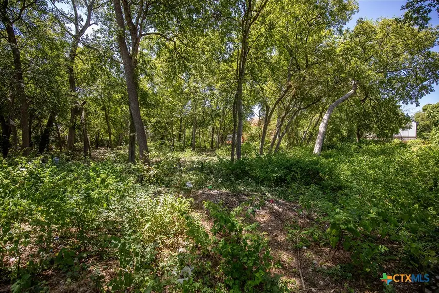 215 Poppy Street, San Antonio, TX 78203 - Image #3